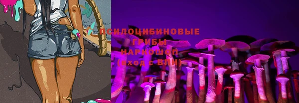 стаф Абинск