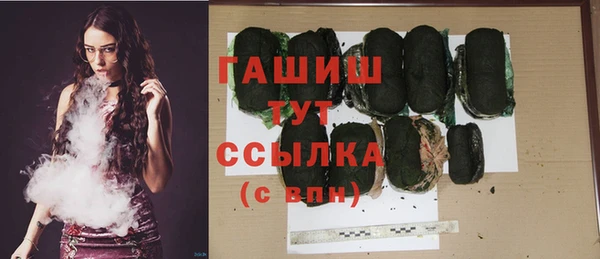 хмурый Инта