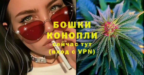 ГАЛЛЮЦИНОГЕННЫЕ ГРИБЫ Инсар