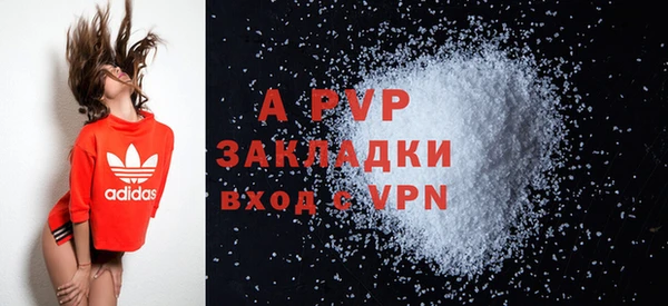 твердый Абаза