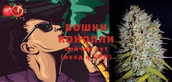 твердый Абаза