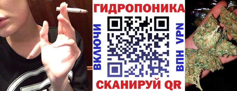 kraken маркетплейс  Бирюсинск  Марихуана план 